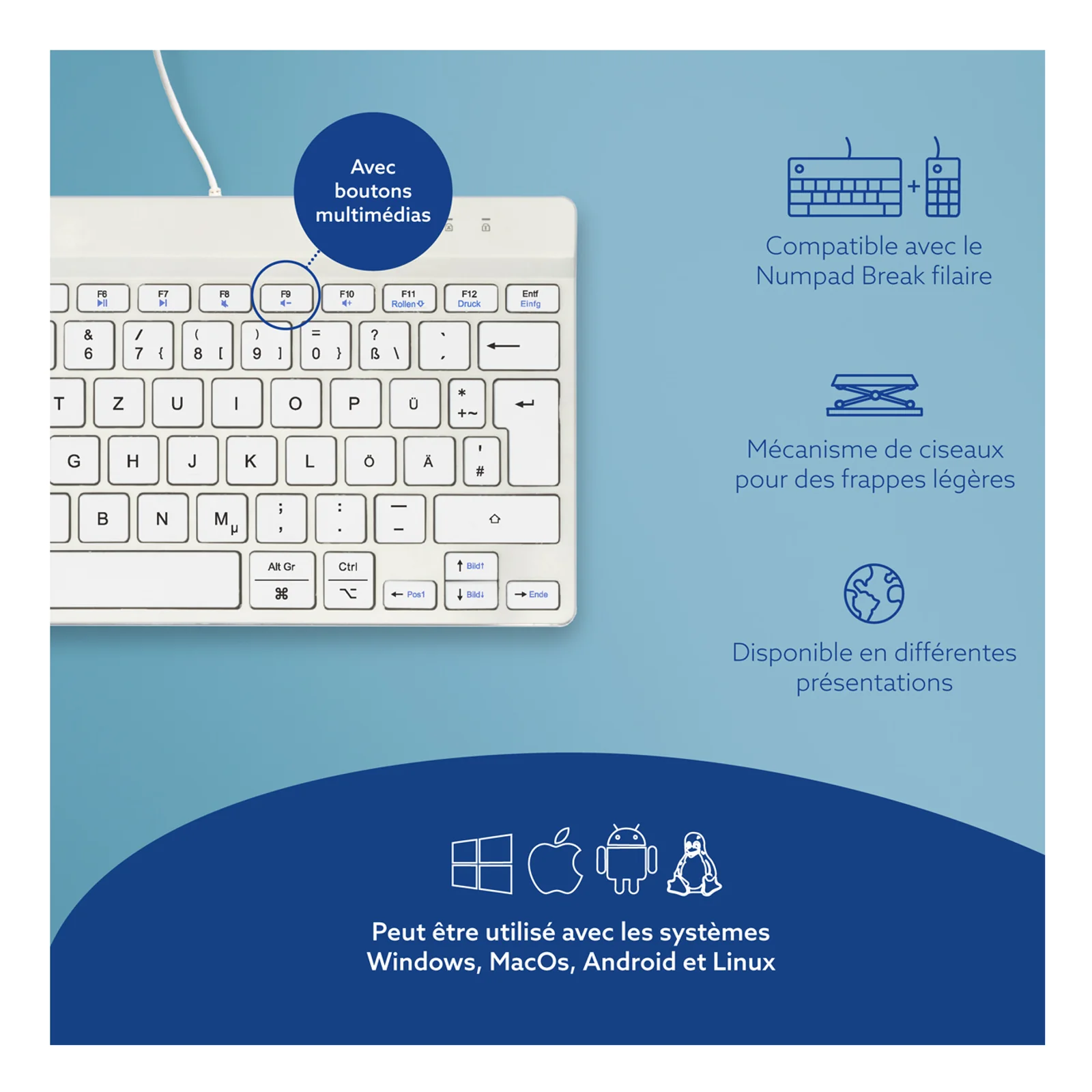 Infographie compatibilité multi-OS R-Go, icônes Windows Mac Linux Android, fond bleu, texte français