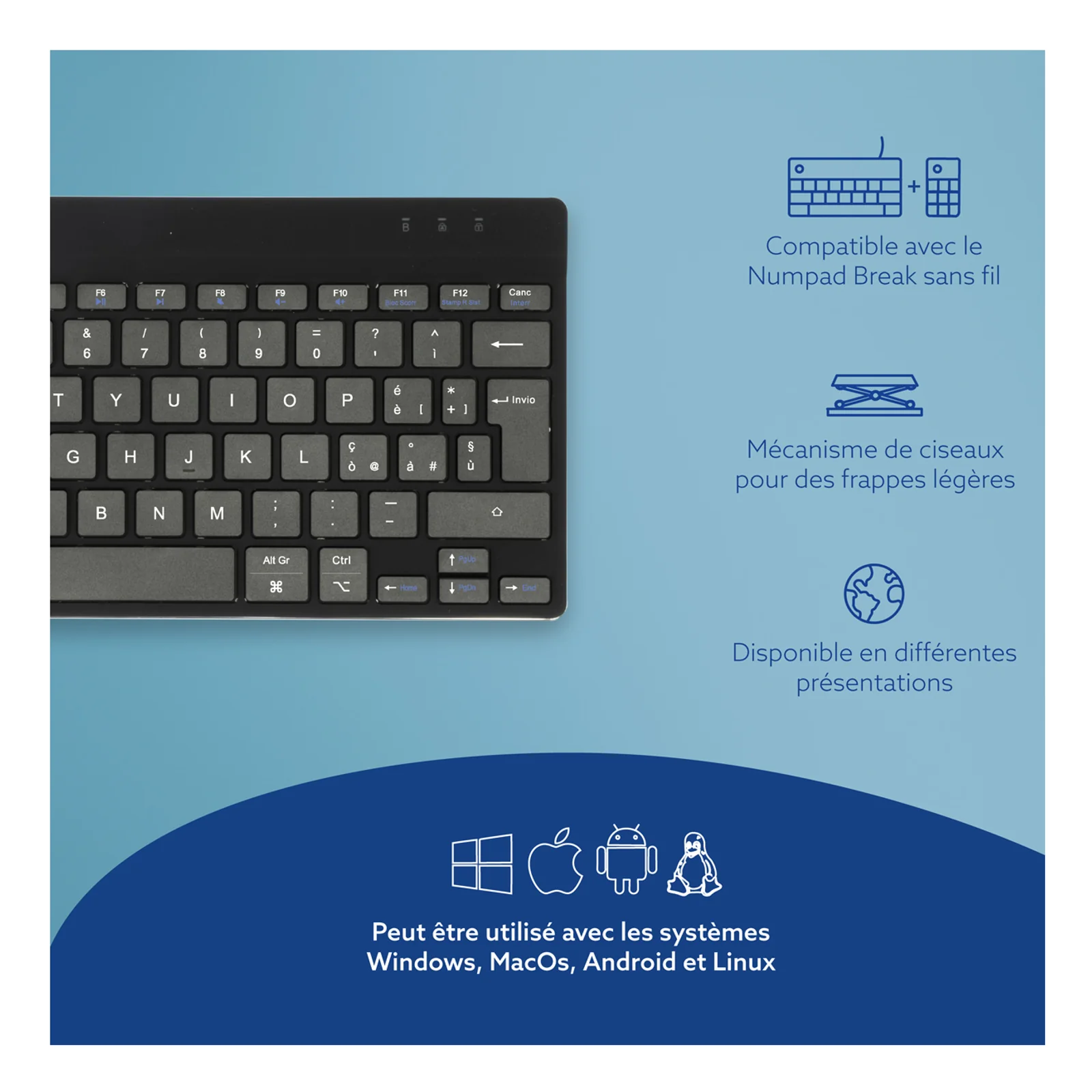 Infographie compatibilité R-Go, icônes Windows macOS Android Linux et pavé numérique, fond bleu