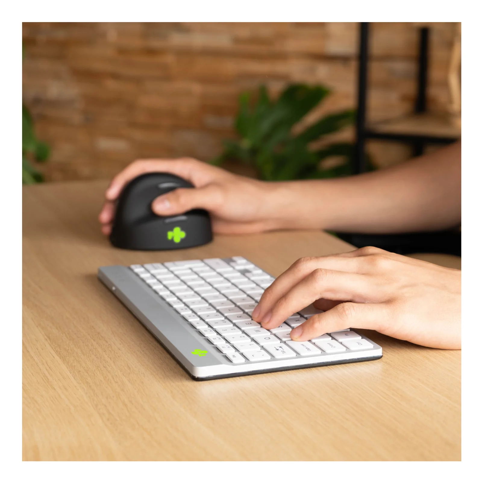 Main gauche sur souris verticale noire R-Go, main droite sur clavier compact blanc, plante en arrière-plan