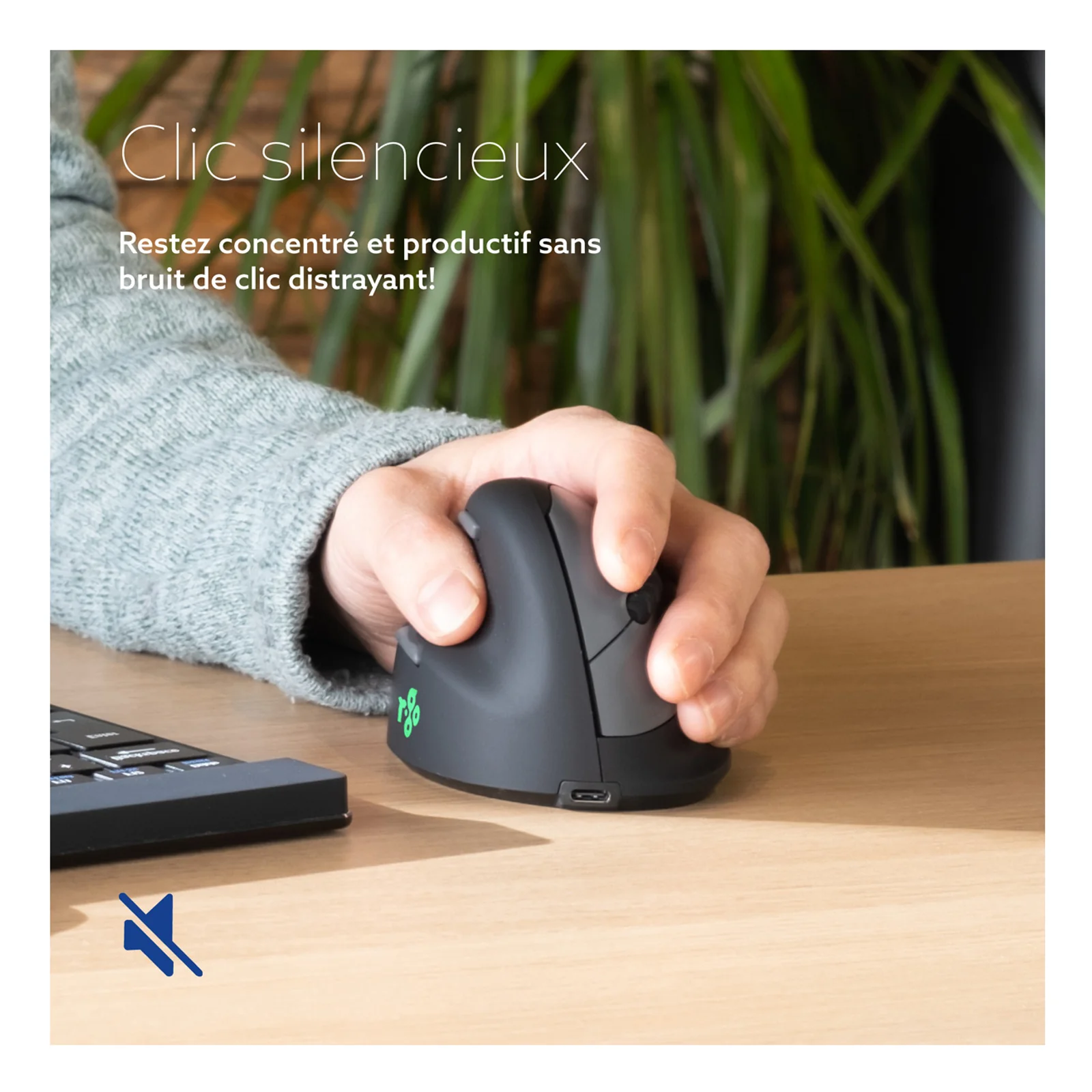 Visuel clic silencieux, souris sur bureau en bois avec plante en arrière-plan