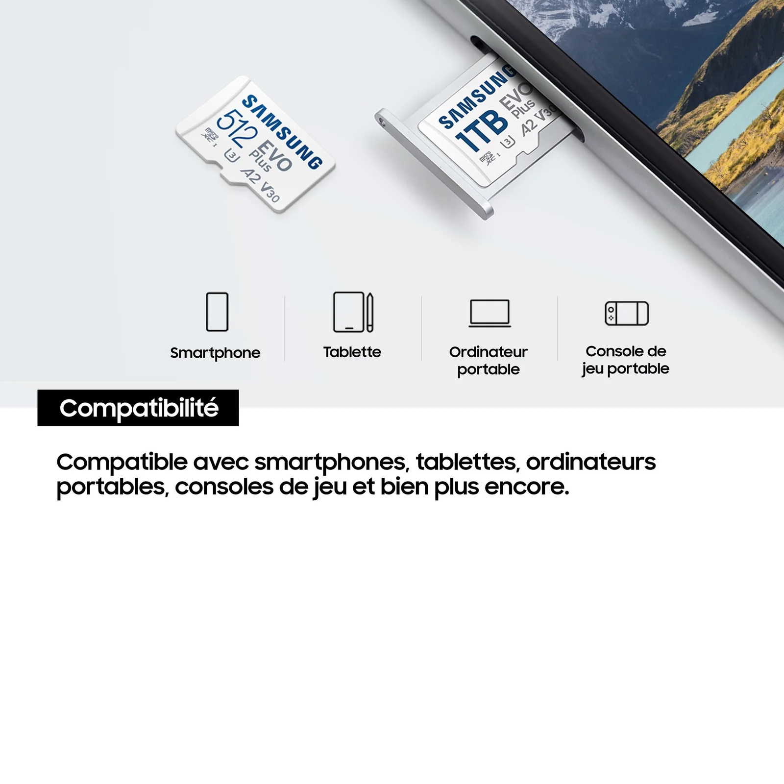 Samsung Carte MicroSD EVO Plus (2024) 1 To