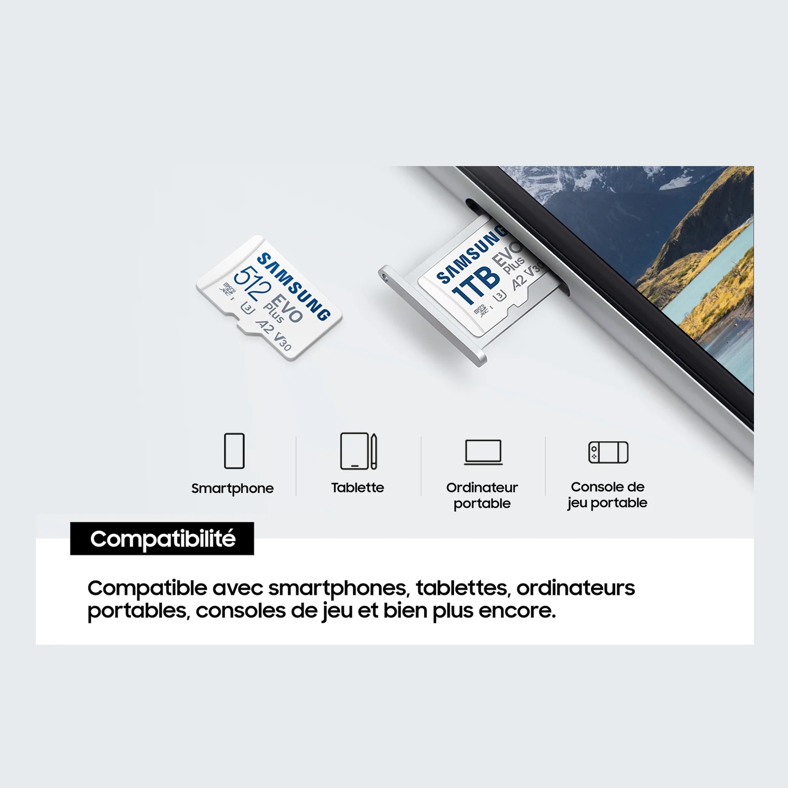 Samsung Carte MicroSD EVO Plus (2024) 512 Go