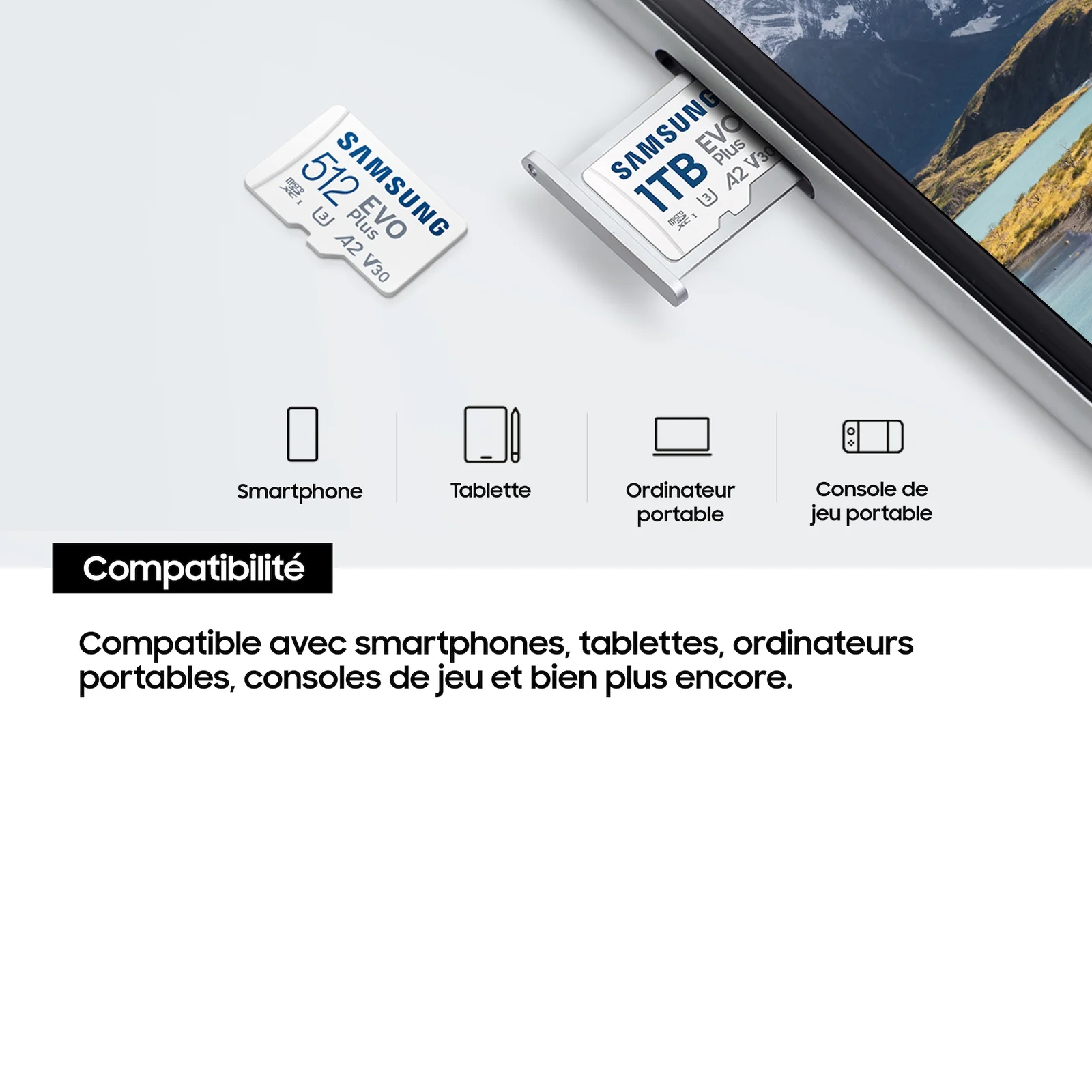 Samsung Carte MicroSD EVO Plus (2024) 64 Go