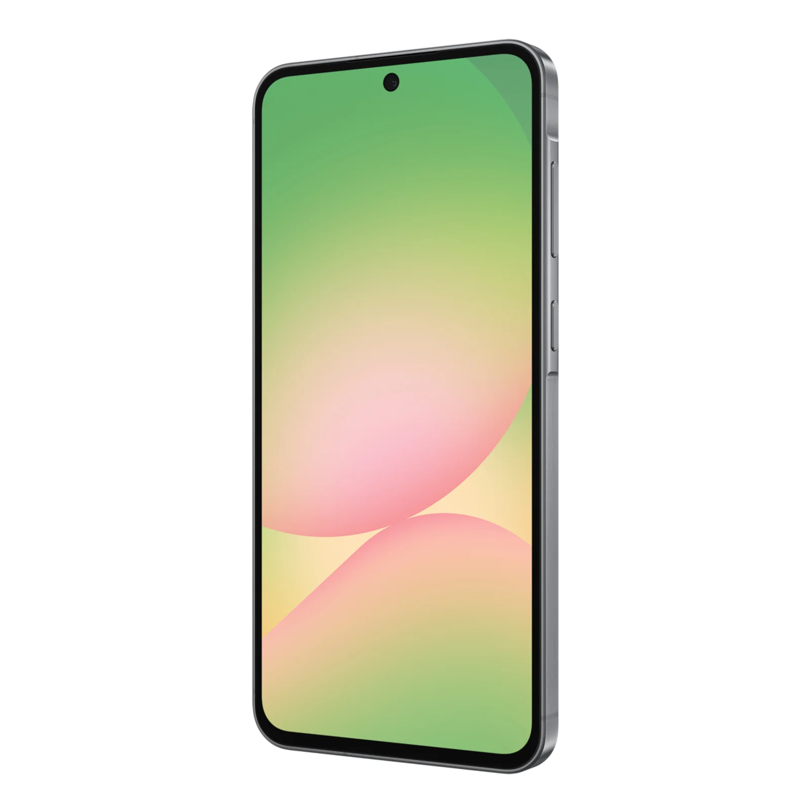 Samsung Galaxy A56 5G Enterprise Edition 17 cm (6.7") Double SIM USB Type-C 8 Go 256 Go 5000 mAh Graphite