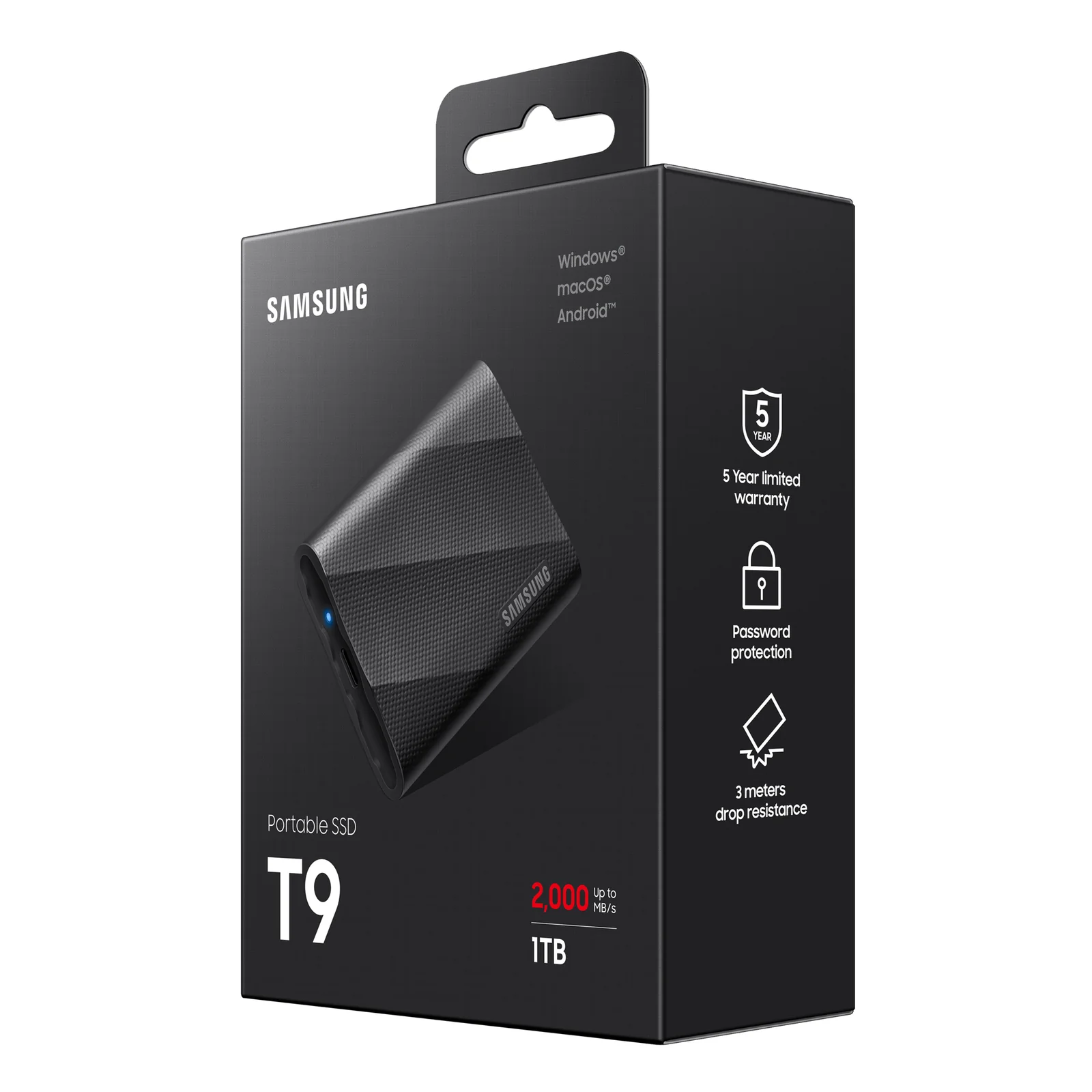 Samsung MU-PG1T0B 1 To USB Type-C USB 3.2 Gen 2x2 Noir