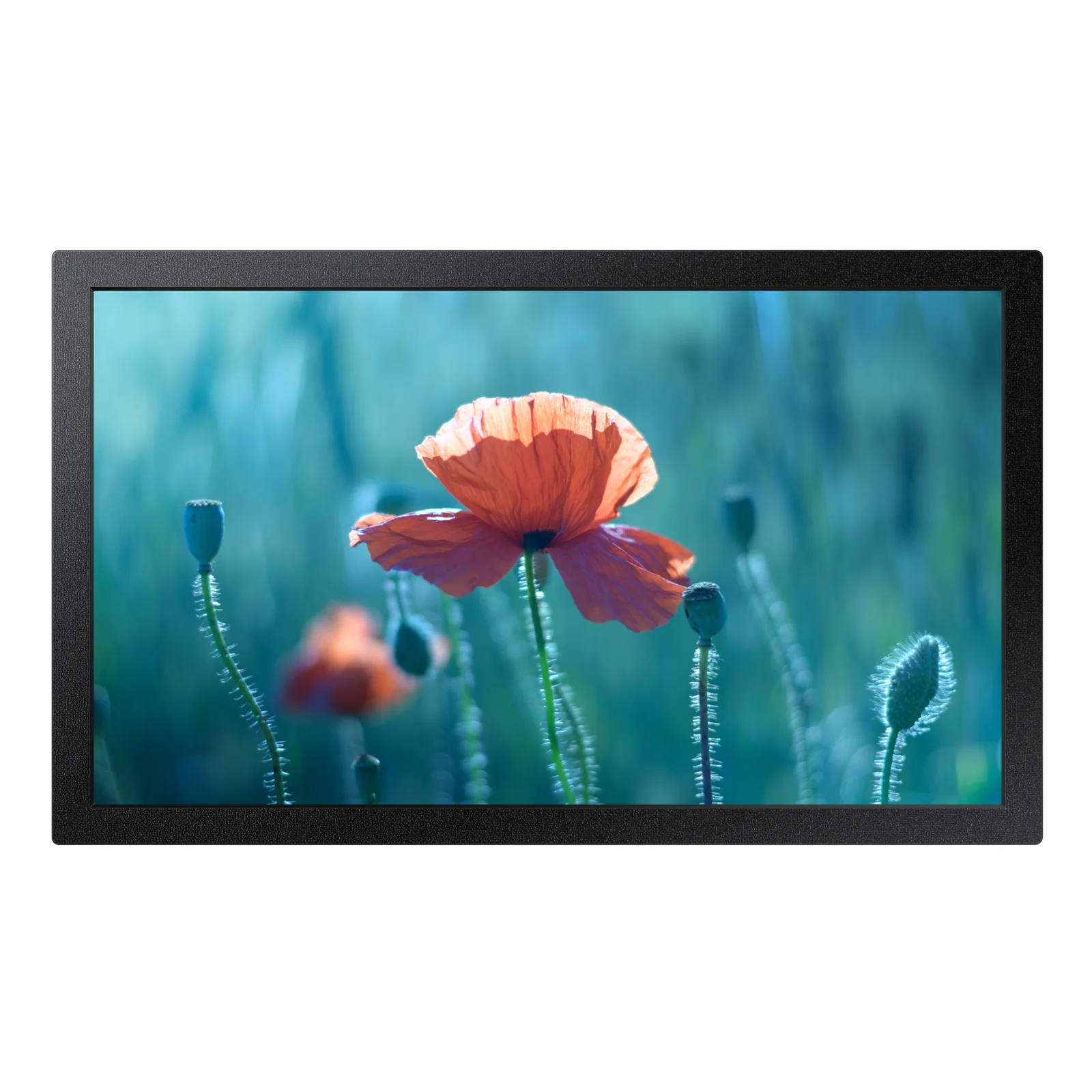 QB13C 33 cm (13") LCD Wifi 500 cd/m² Full HD Noir 16/7
