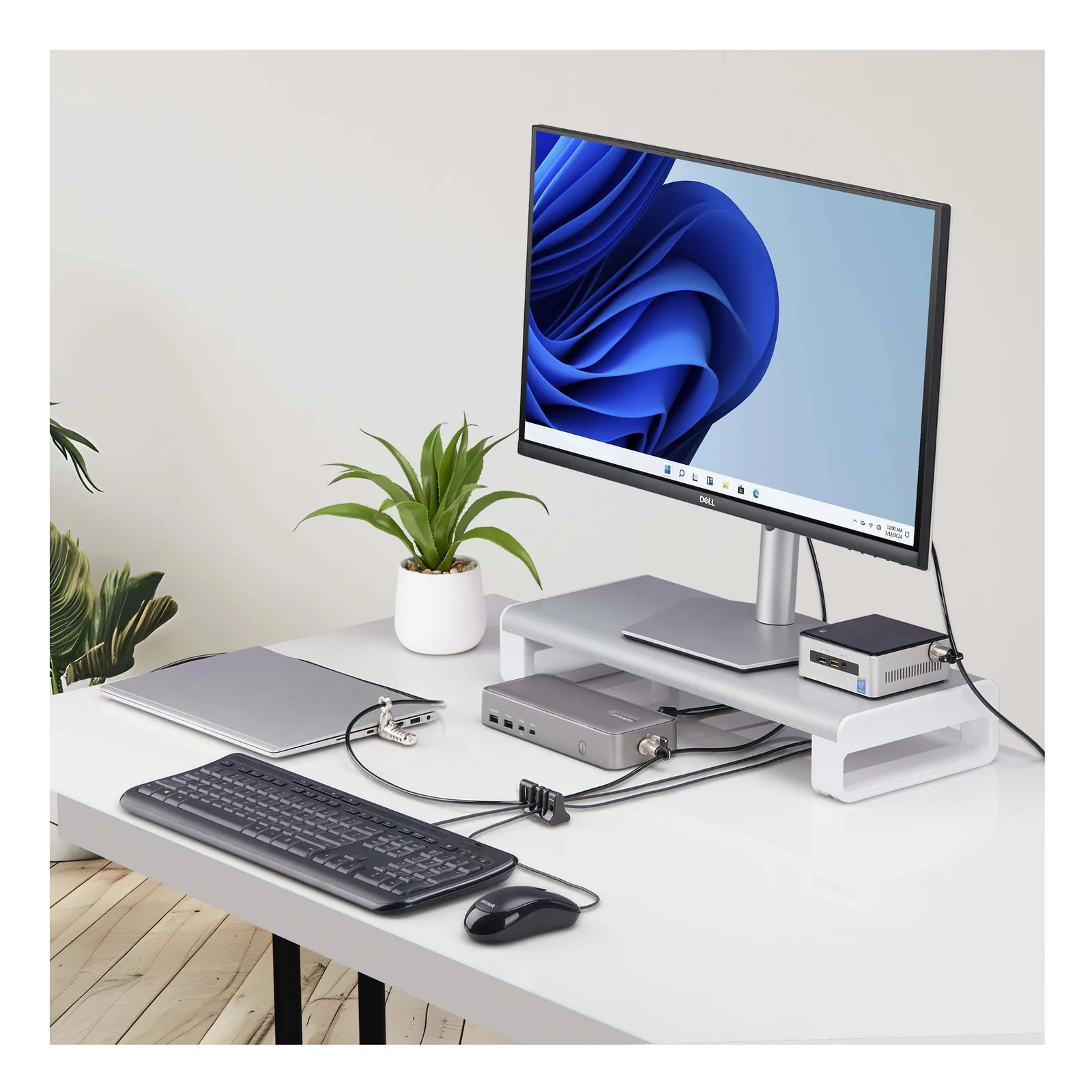 StarTech.com Antivol de Câble Périphérique, Clavier/Souris Sécurisé, Verrouillage de Câble pour les Bureaux Partagés/Ordinateurs Publics, Ancrage Compatible le Câble de Sécurité/ Cadenas du PC Portable - TAA