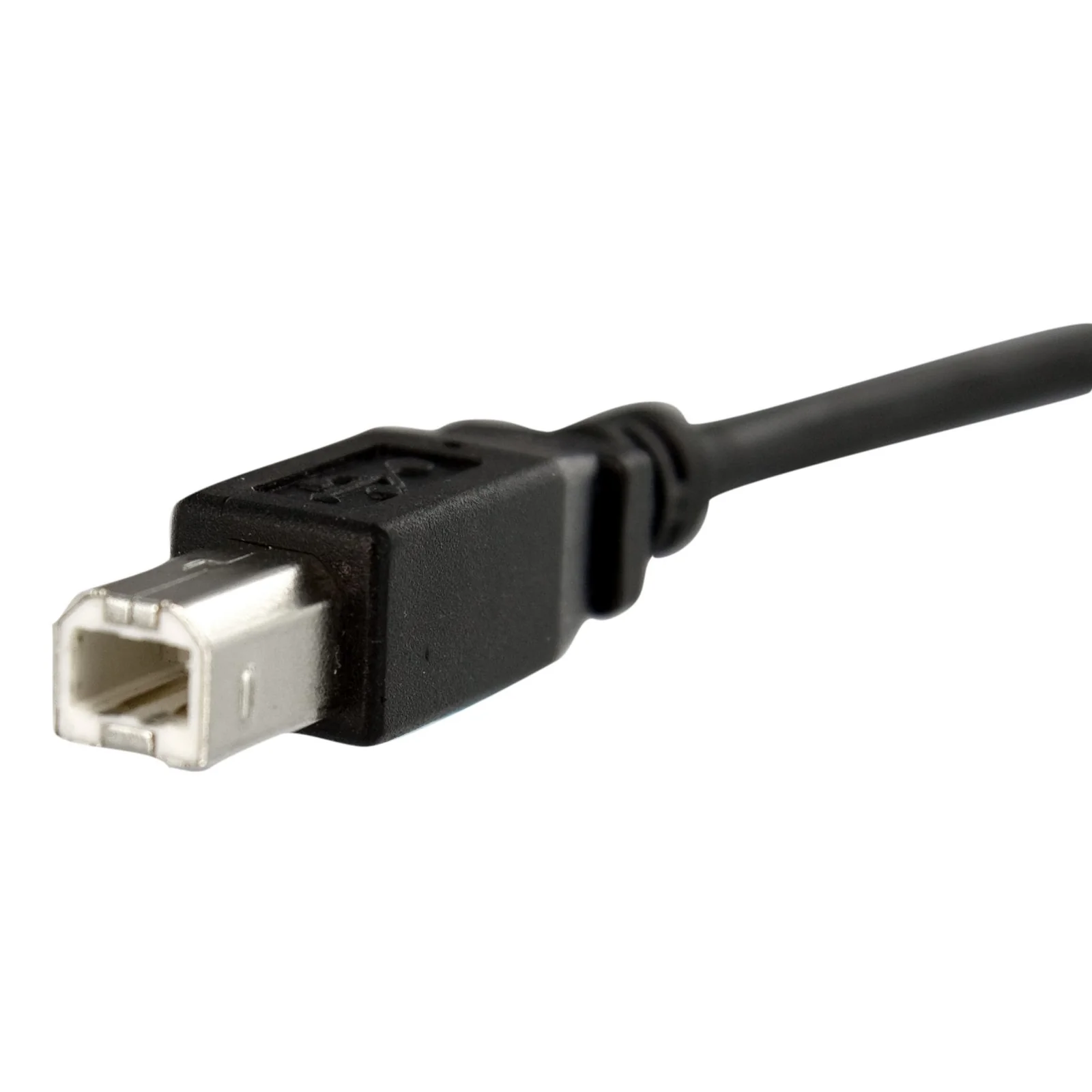 StarTech.com Câble USB 30 cm monté sur panneau B vers B - F/M