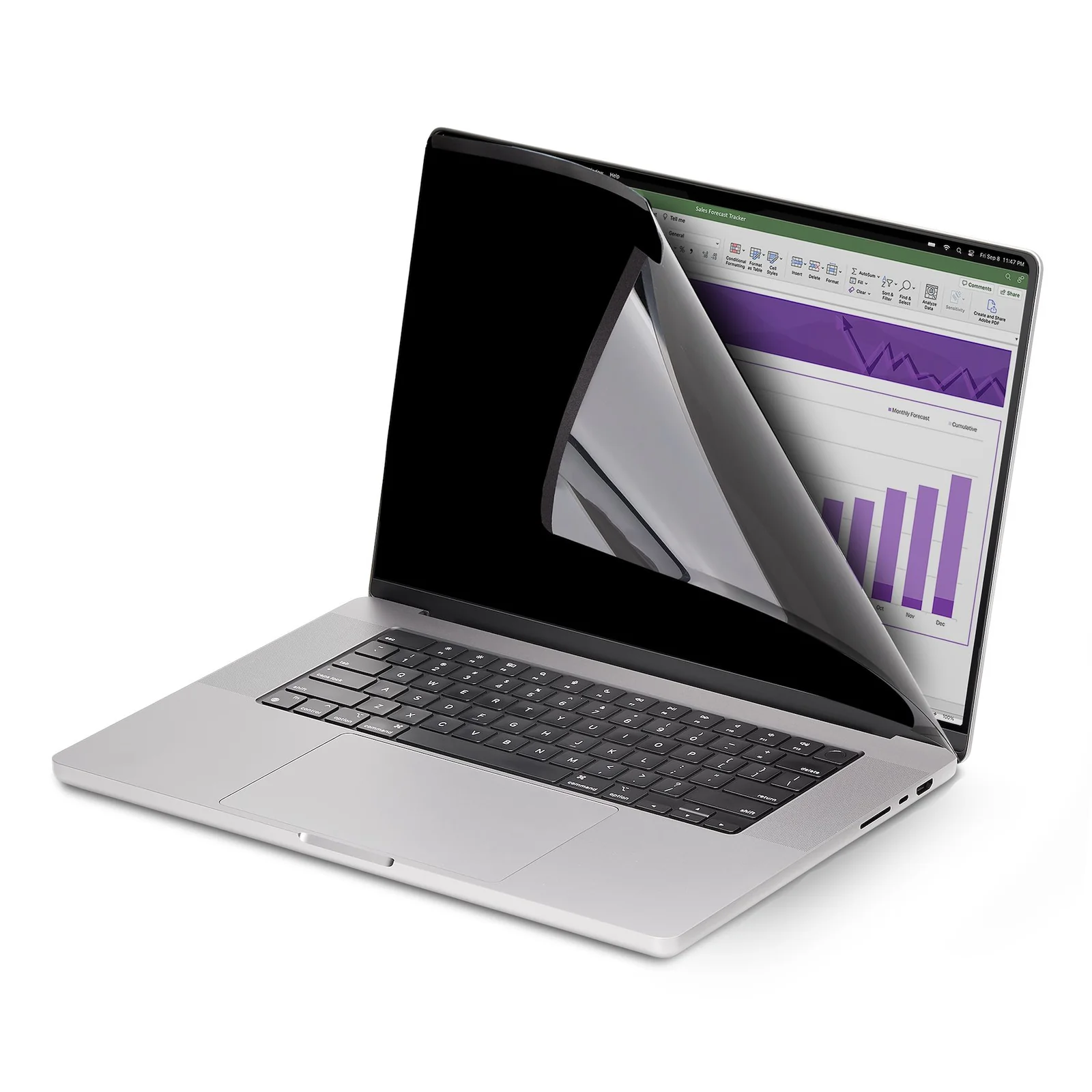 StarTech.com Filtre de Confidentialité Magnétique pour MacBook Pro 14" M1 M2 M3 M4, Protecteur d'Écran contre la Lumière Bleue, Côtés Réversibles Anti-Reflets Mats ou Brillants