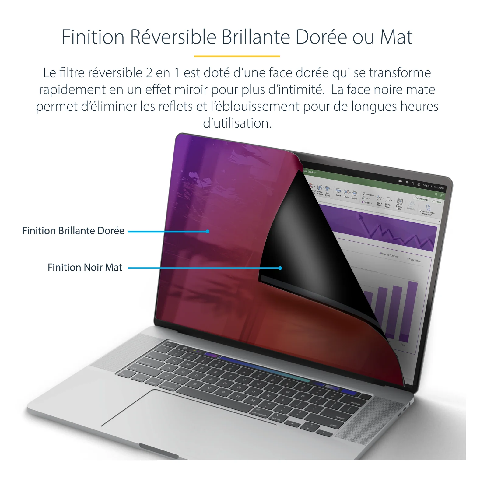 StarTech.com Filtre de Confidentialité Magnétique pour MacBook Pro M1 M2 M3 M4 16", Protecteur d'Écran contre la Lumière Bleue, Côtés Réversibles Anti-Reflets Mats ou Brillants, Écran de Confidentialité