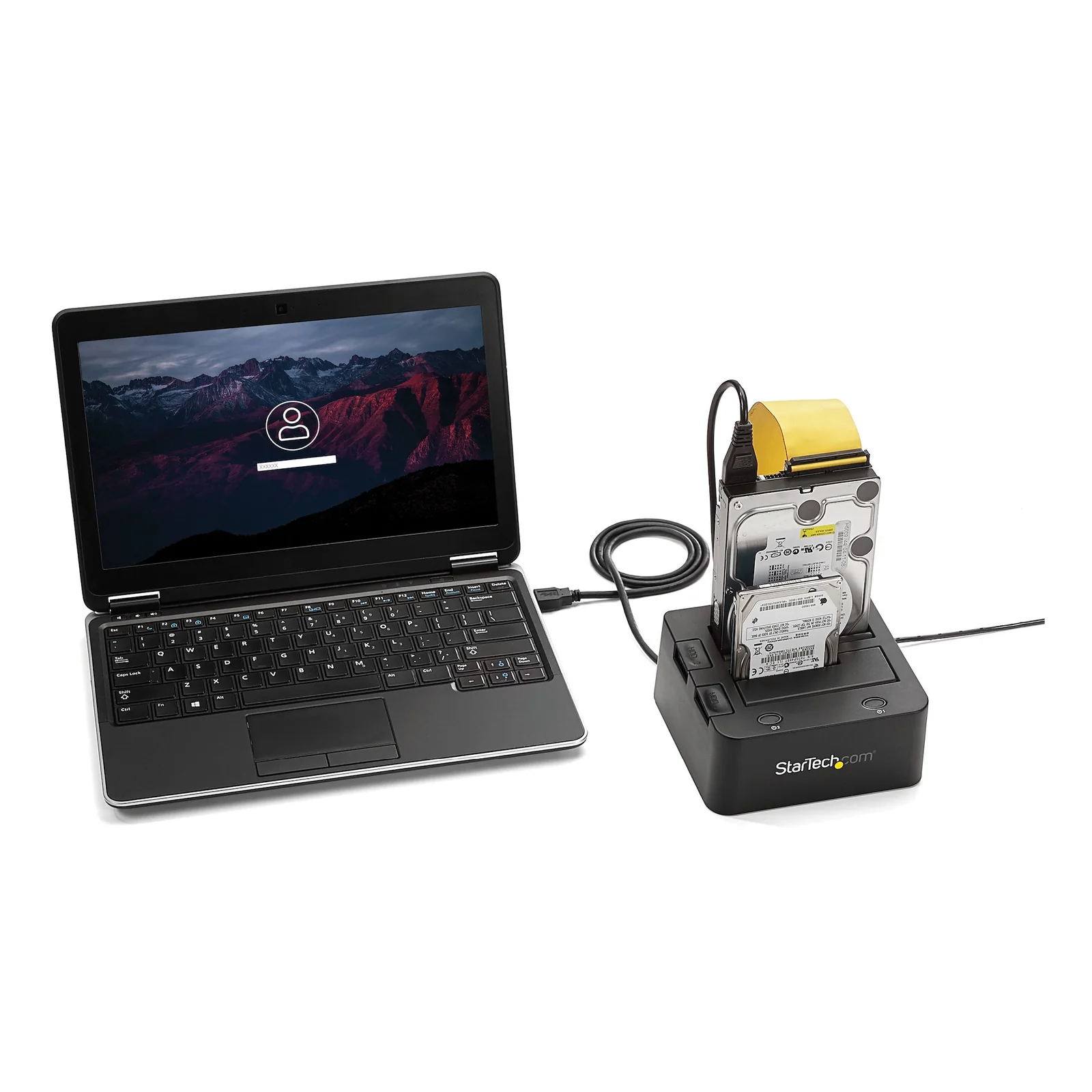 Station connectée via câble USB à un laptop, deux disques durs insérés en position verticale dans les baies