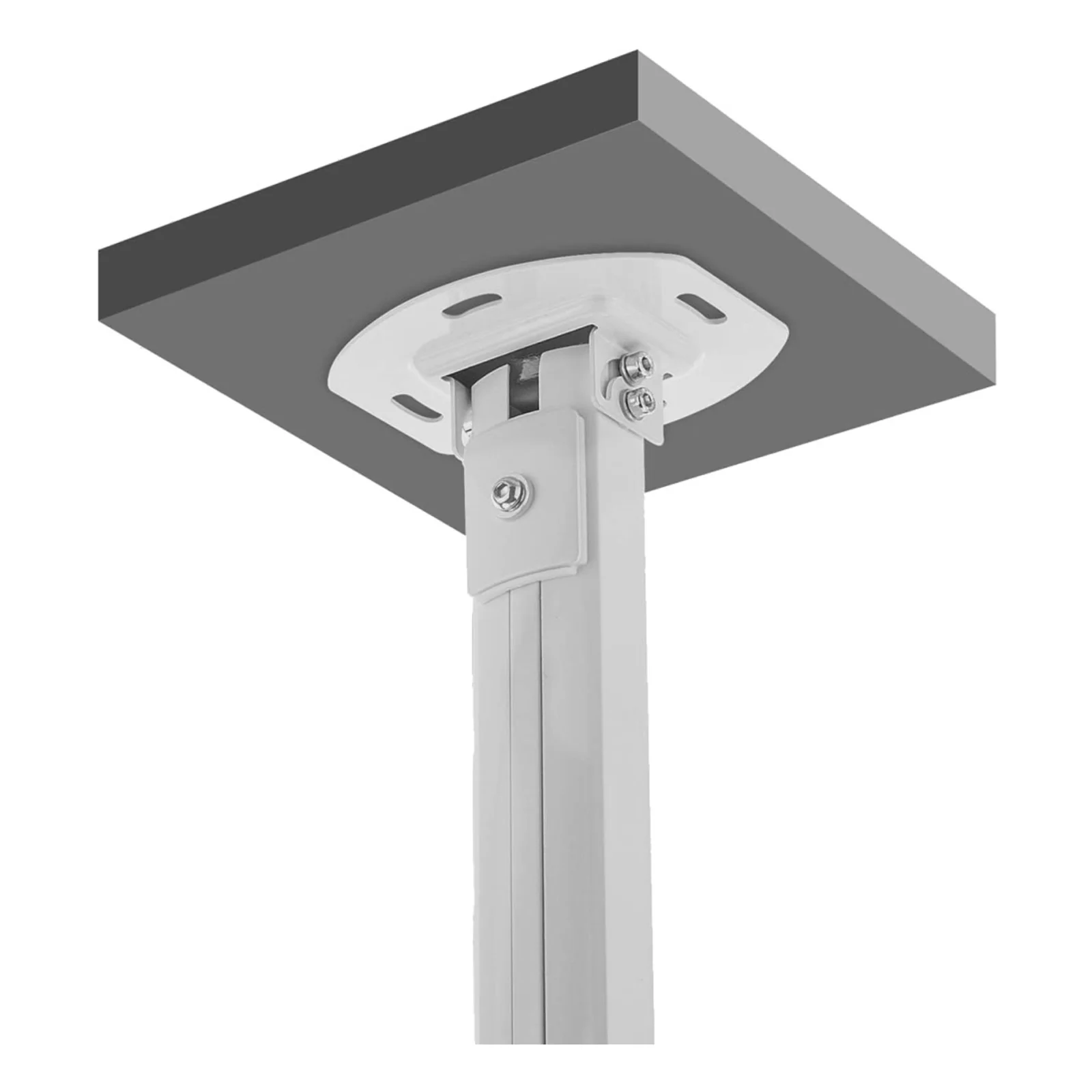 Techly ICA-PM 18M support pour projecteurs Plafond Argent