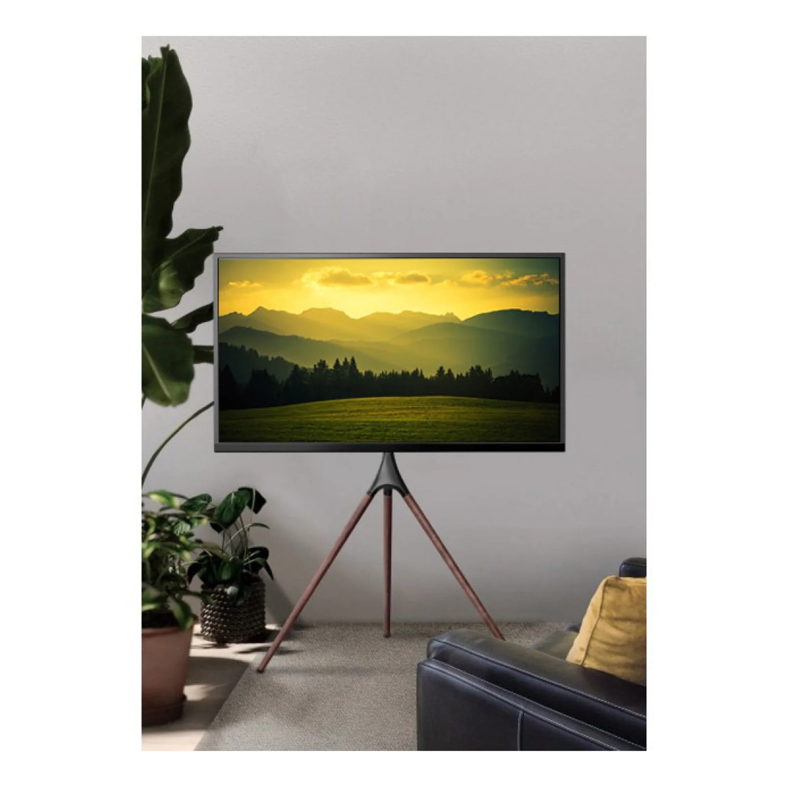 Techly ICA-TR18SAM support pour téléviseur 165,1 cm (65") Noyer