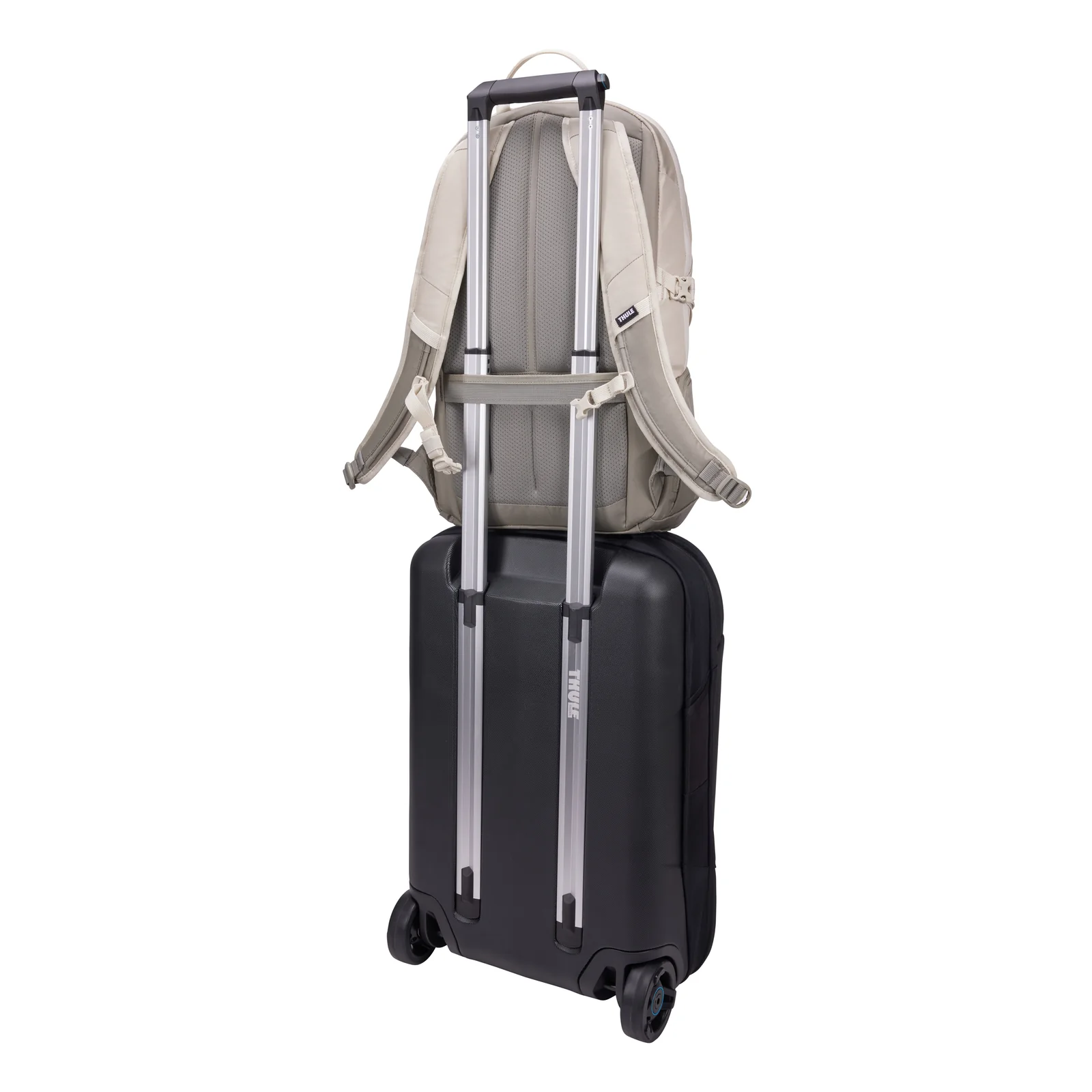 Thule EnRoute TEBP4116 - Pelican/Vetiver sac à dos Sac à dos normal Gris, Blanc Nylon