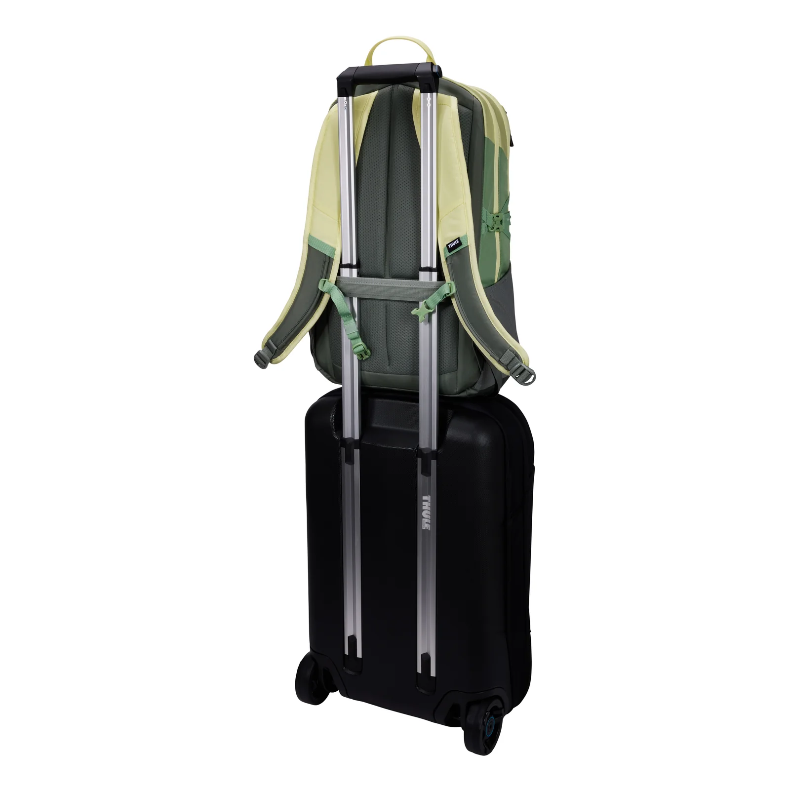 Thule EnRoute TEBP4216 - Agave/Basil sac à dos Sac à dos normal Vert Nylon