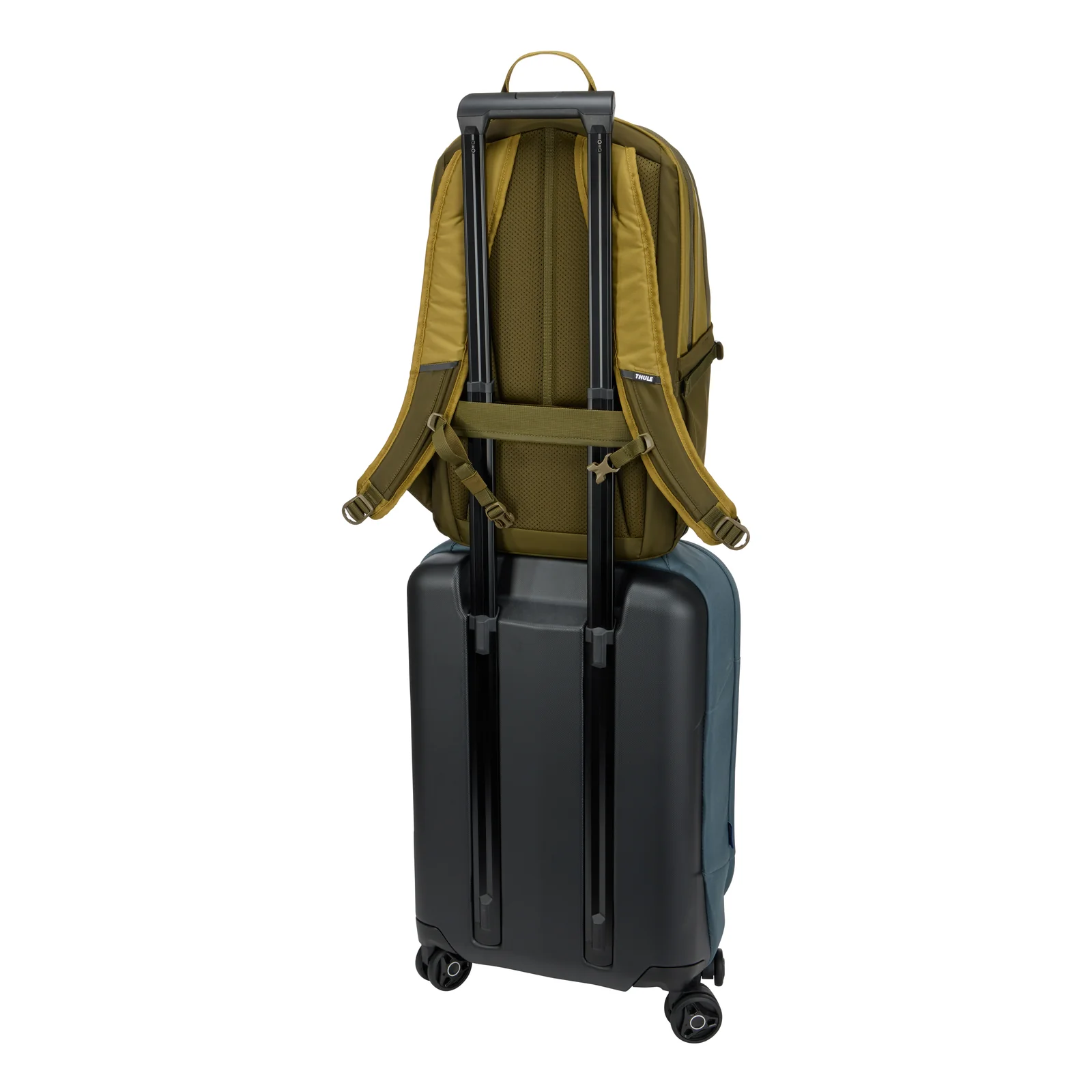 Thule EnRoute TEBP5216 - Nutria/Natural Green sac à dos Sac à dos normal Vert, Naturel Nylon