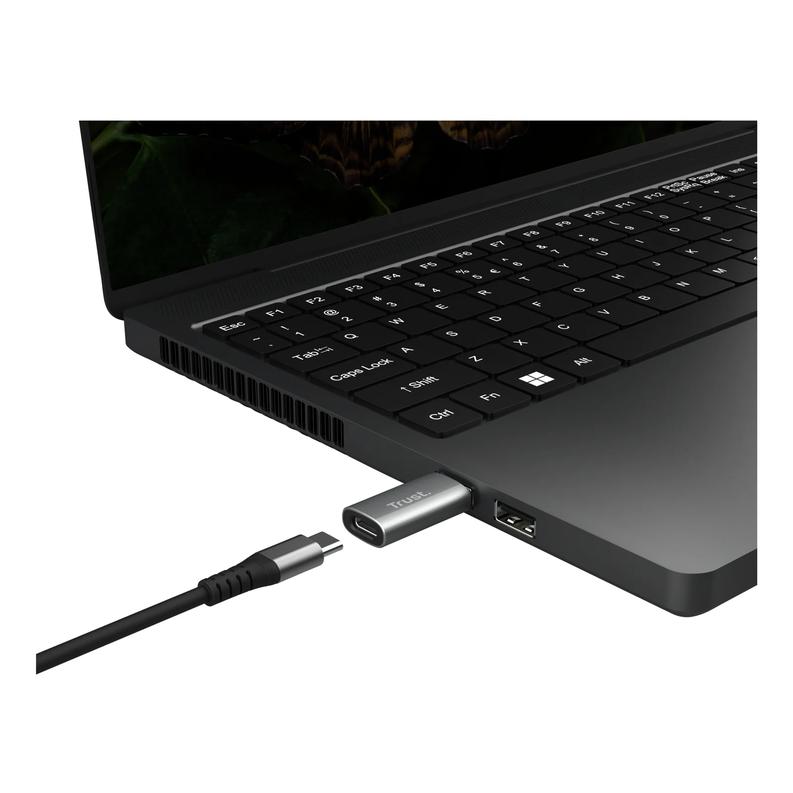 Trust Calyx USB Type-C USB Type-A Gris