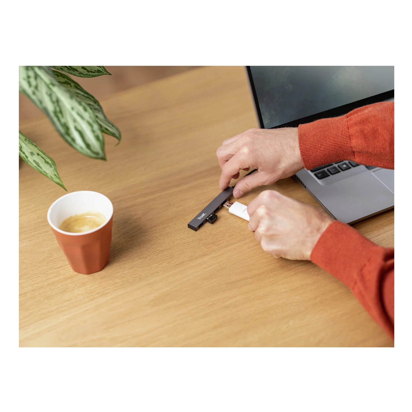 Trust Halyx USB 2.0 480 Mbit/s Aluminium