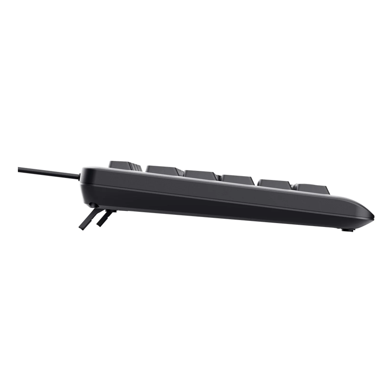 Vue de profil du clavier Trust Primo, châssis bas de 22 mm, câble USB visible à gauche