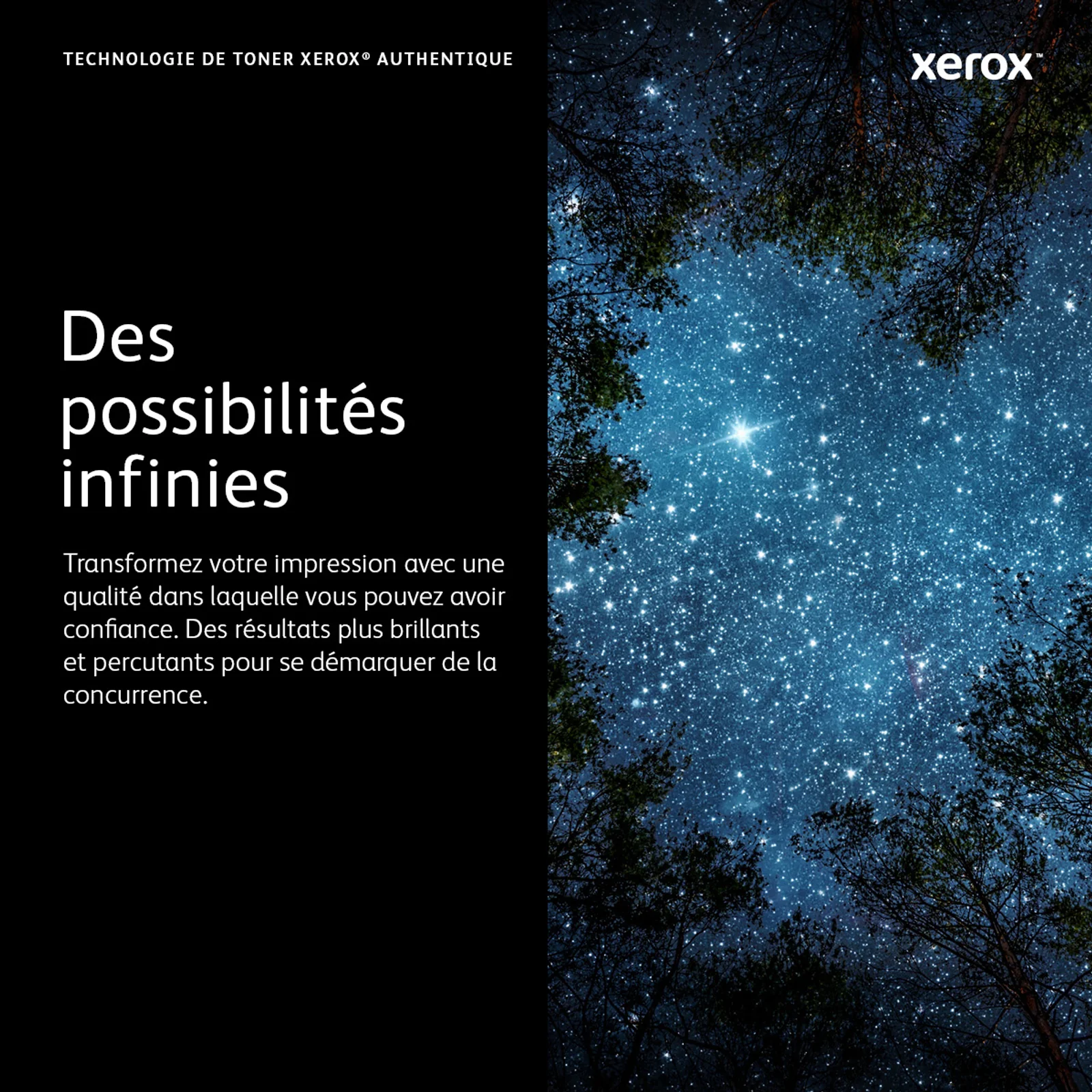 Ciel étoilé photographié en contre-plongée à travers la cime des arbres, visuel promotionnel Xerox