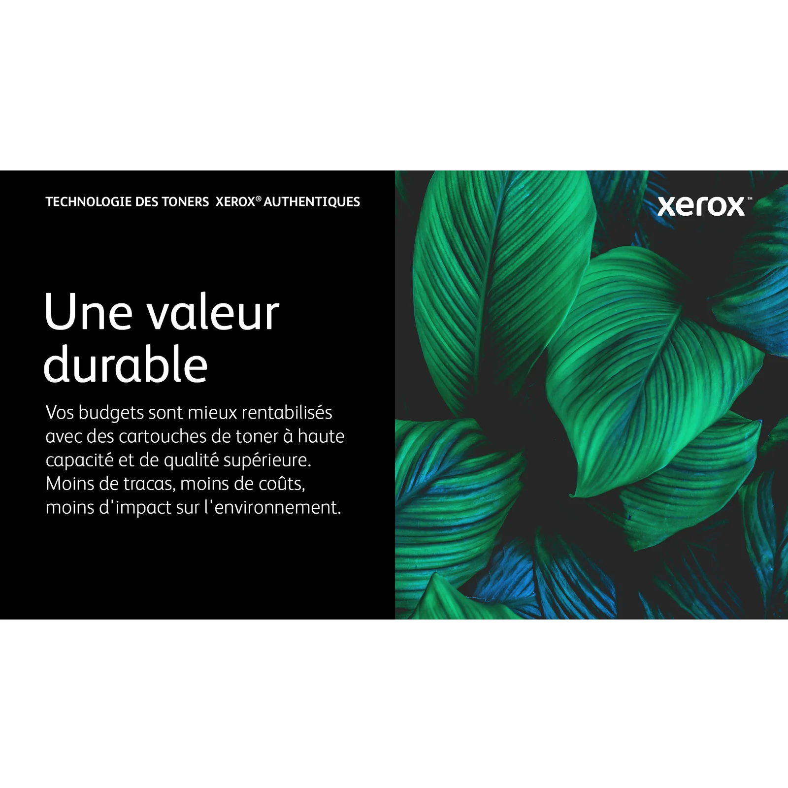Xerox Cartouche de toner Cyan de Capacité standard Phaser® 6510, WorkCentre® 6515 (1000 pages) - 106R03473
