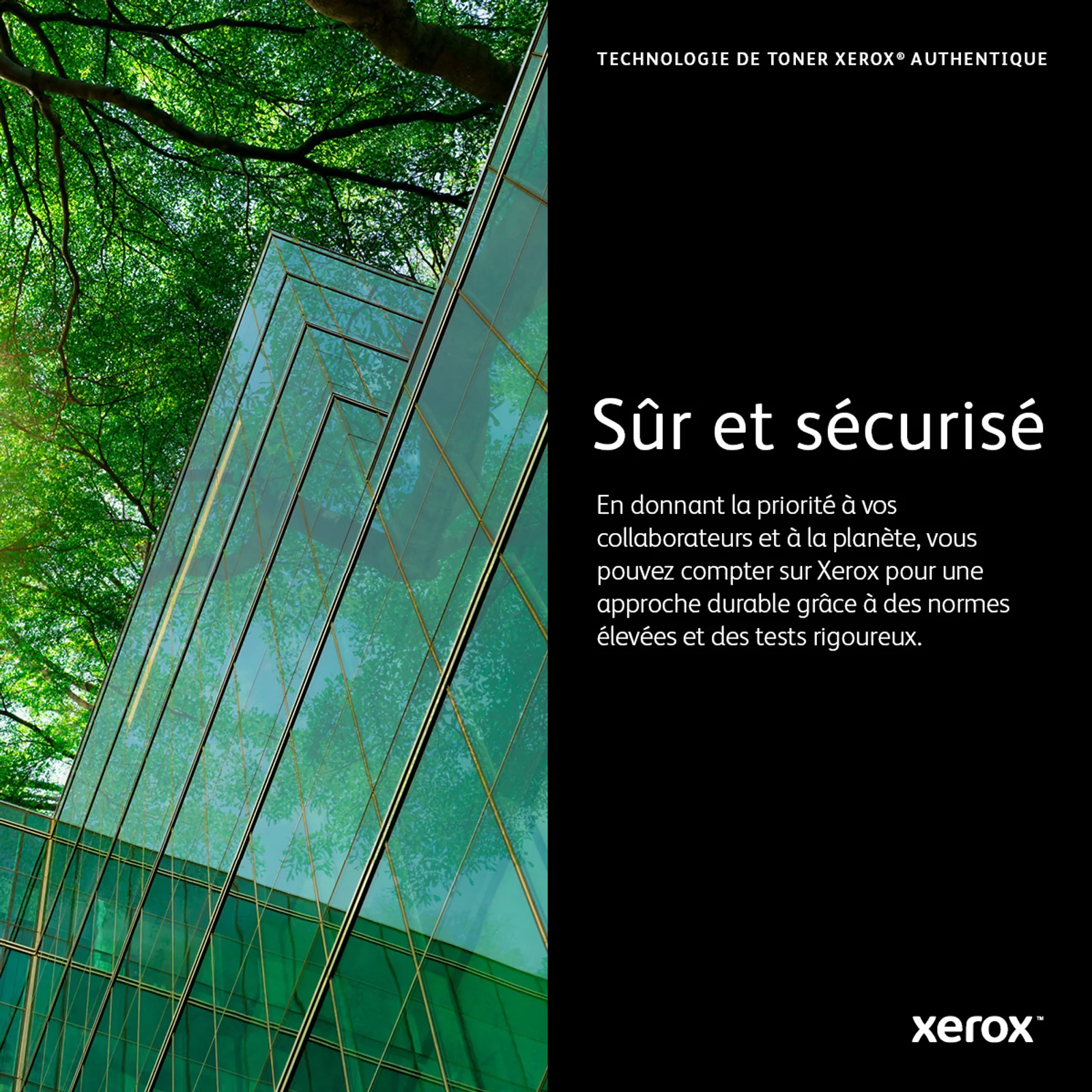 Xerox Cartouche de toner Cyan de Grande capacité Imprimante couleur ® VersaLink® C400/multifonctions ® VersaLink® C405 (4800 pages) - 106R03518
