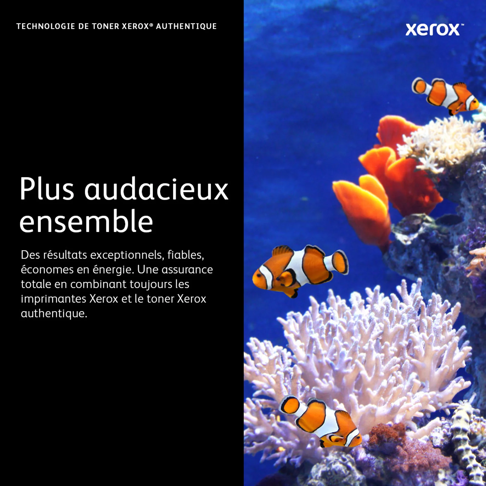 Xerox Cartouche de toner Cyan de Grande capacité Imprimante couleur ® VersaLink® C400/multifonctions ® VersaLink® C405 (4800 pages) - 106R03518