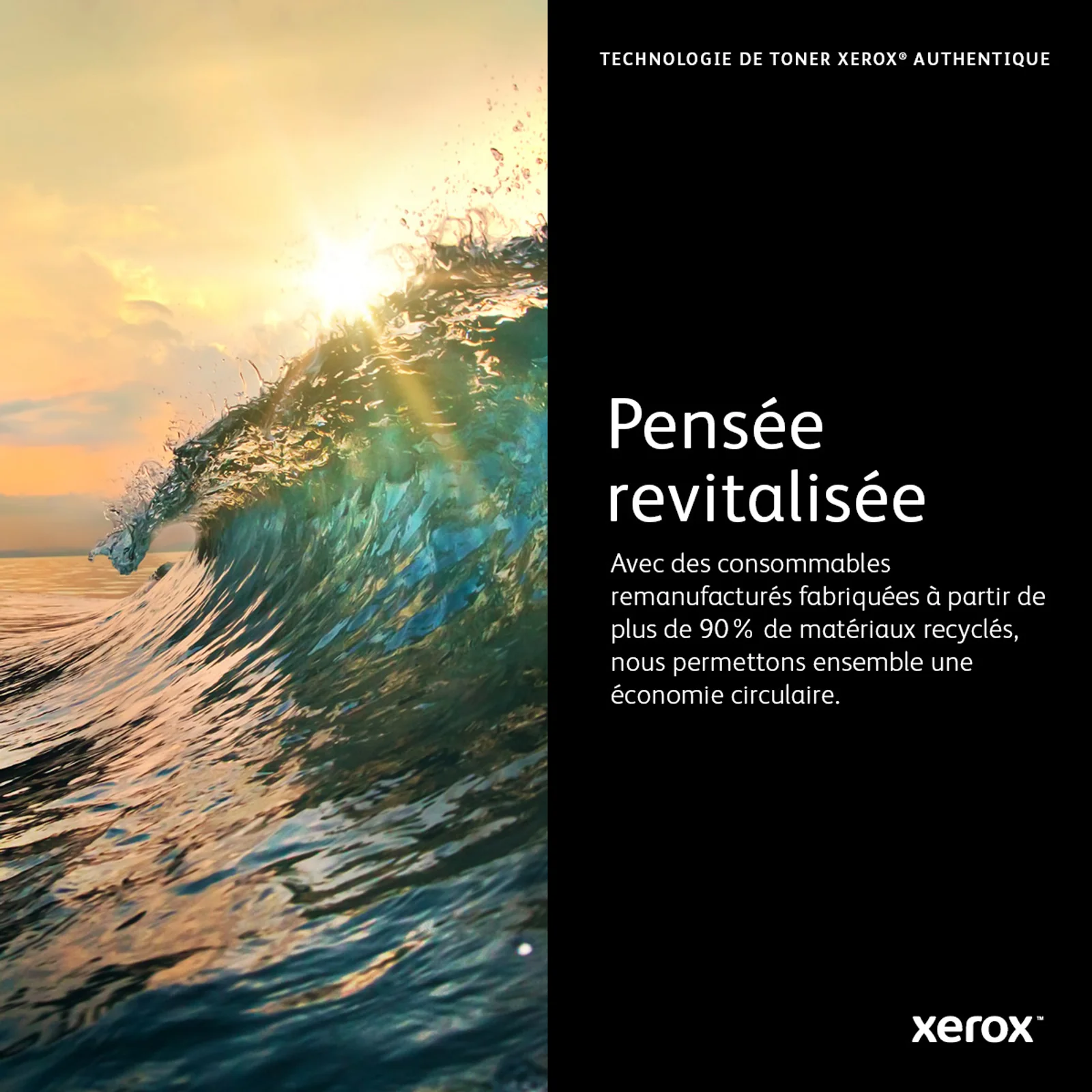 Xerox Cartouche de toner Cyan de Grande capacité Imprimante couleur ® VersaLink® C400/multifonctions ® VersaLink® C405 (4800 pages) - 106R03518