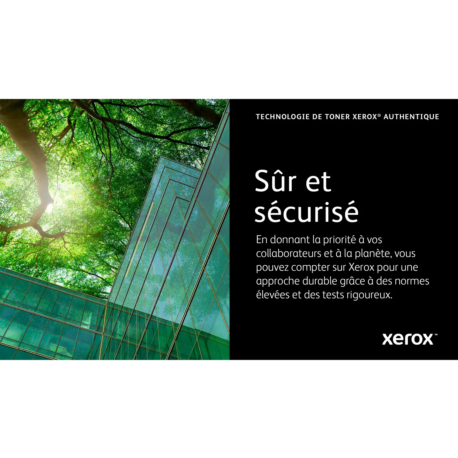 Xerox Cartouche de toner Jaune de Capacité standard Phaser® 6510, WorkCentre® 6515 (1000 pages) - 106R03475