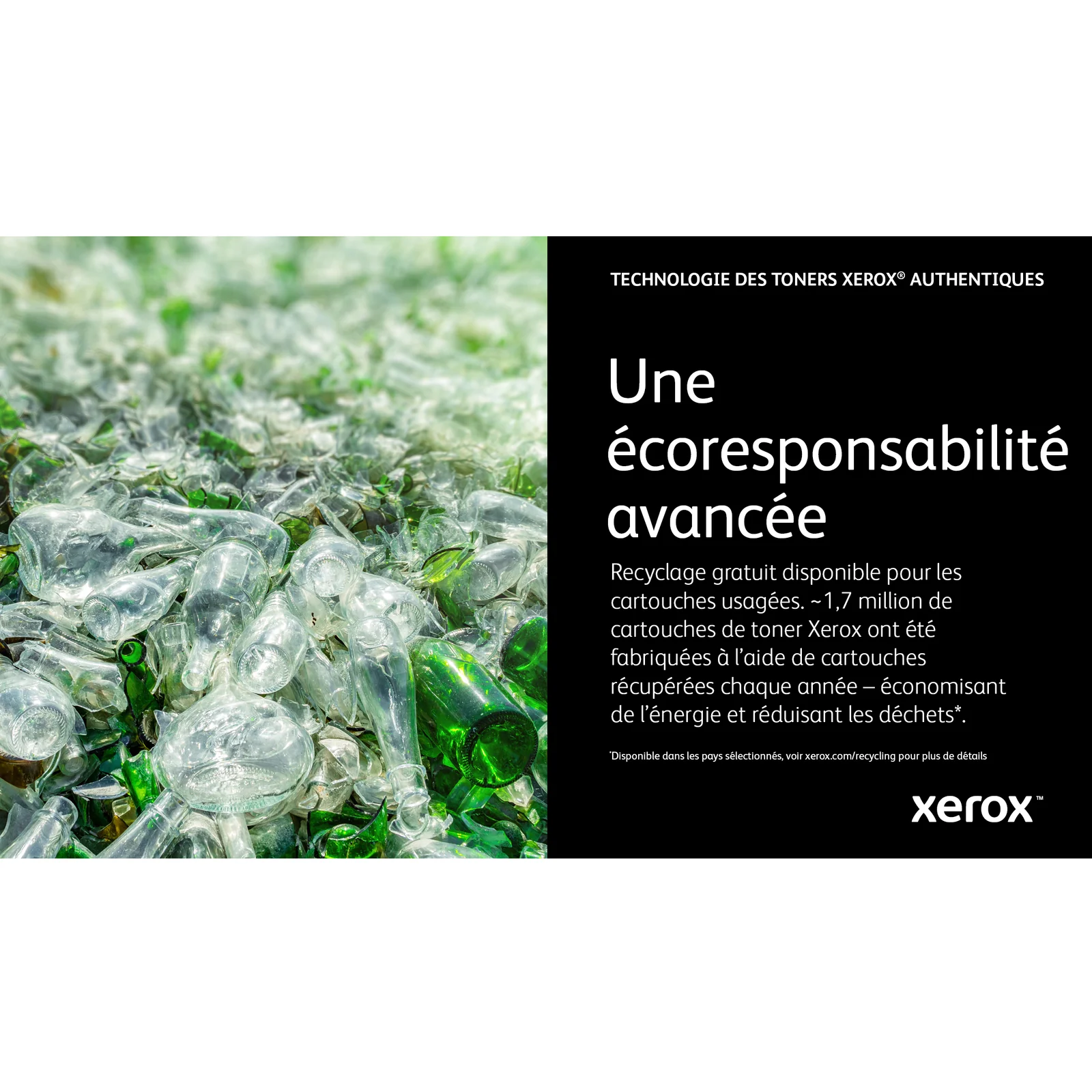 Xerox Cartouche de toner Magenta de Capacité standard Phaser® 6510, WorkCentre® 6515 (1000 pages) - 106R03474
