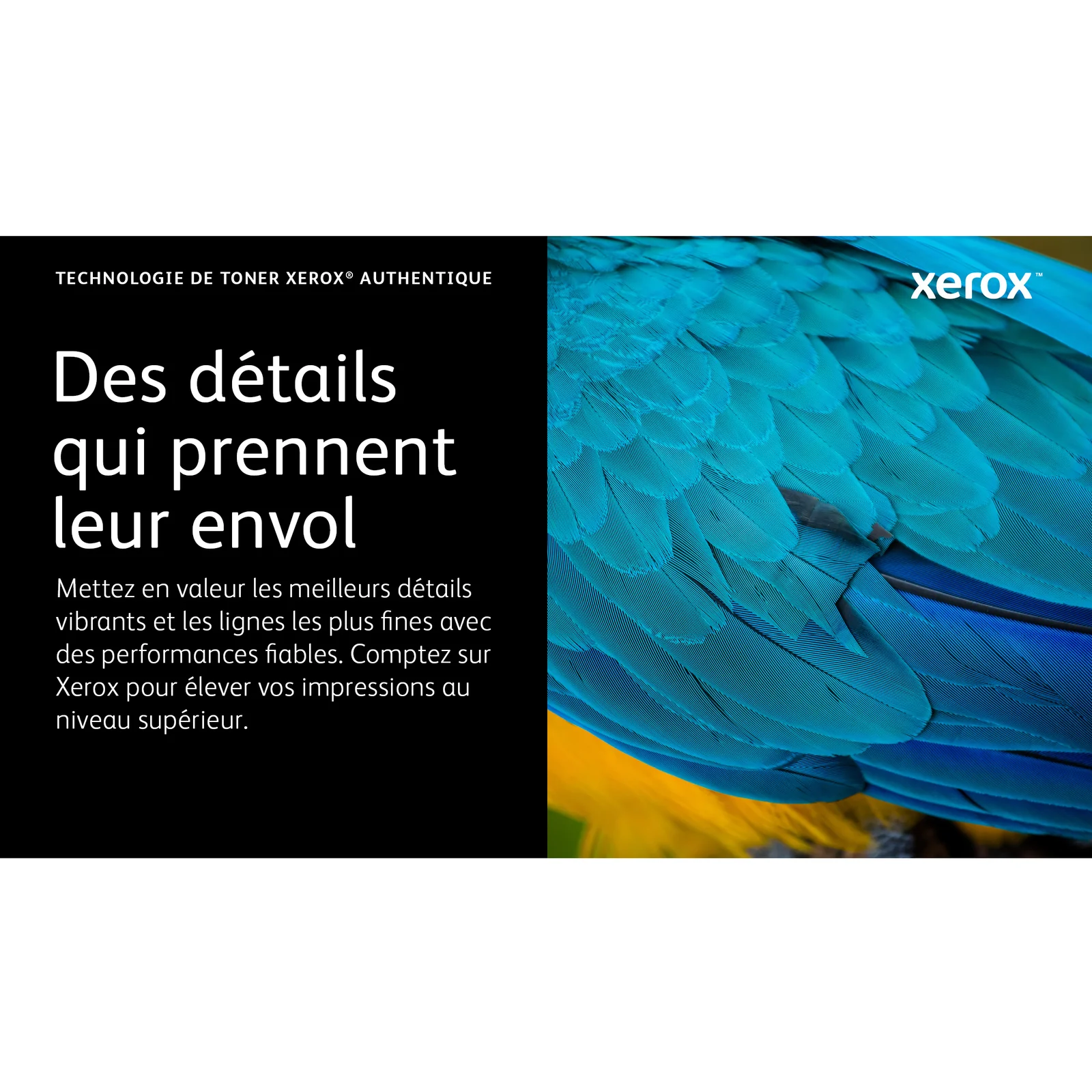Xerox Cartouche de toner Magenta de Capacité standard Phaser® 6510, WorkCentre® 6515 (1000 pages) - 106R03474
