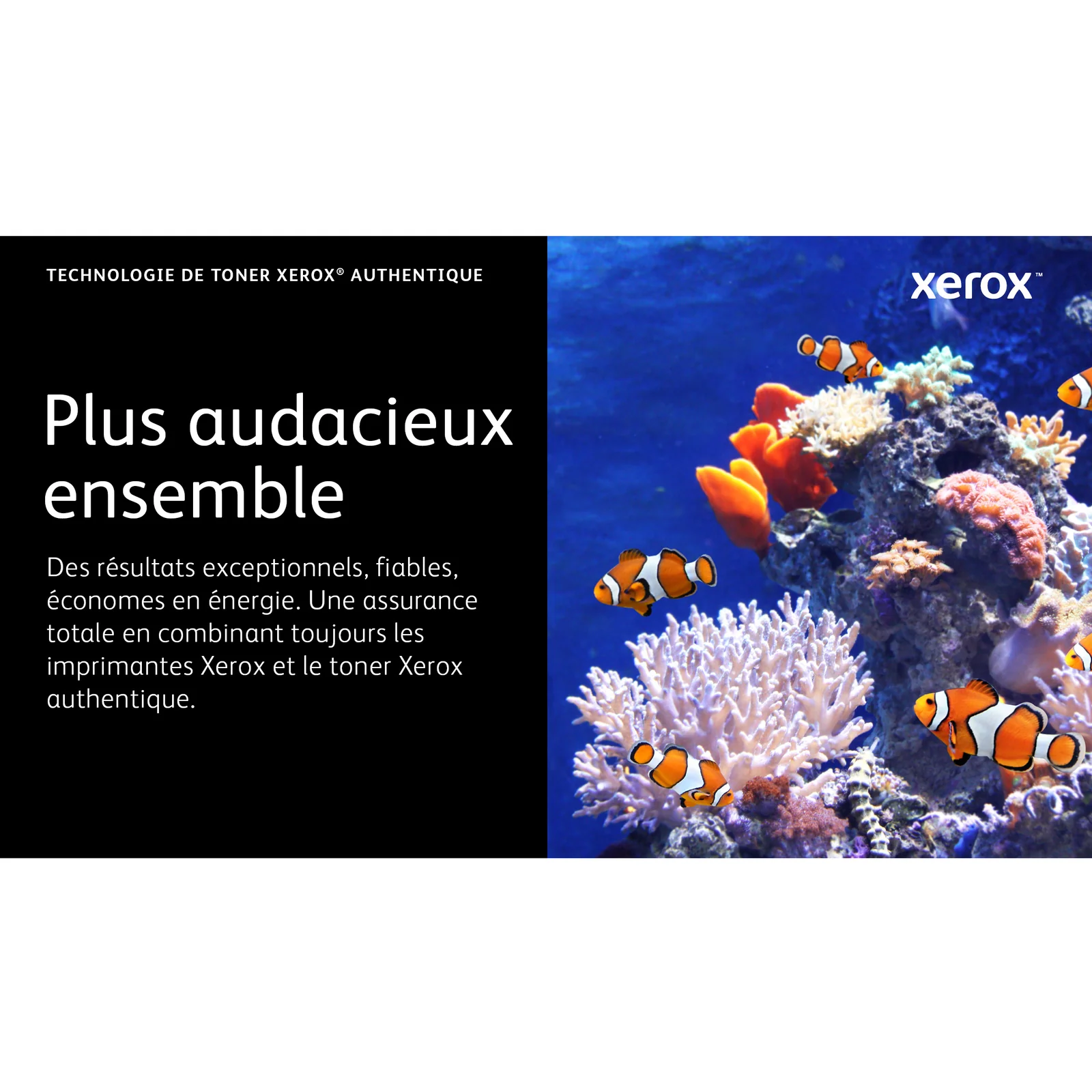 Xerox Cartouche de toner Magenta de Capacité standard Phaser® 6510, WorkCentre® 6515 (1000 pages) - 106R03474