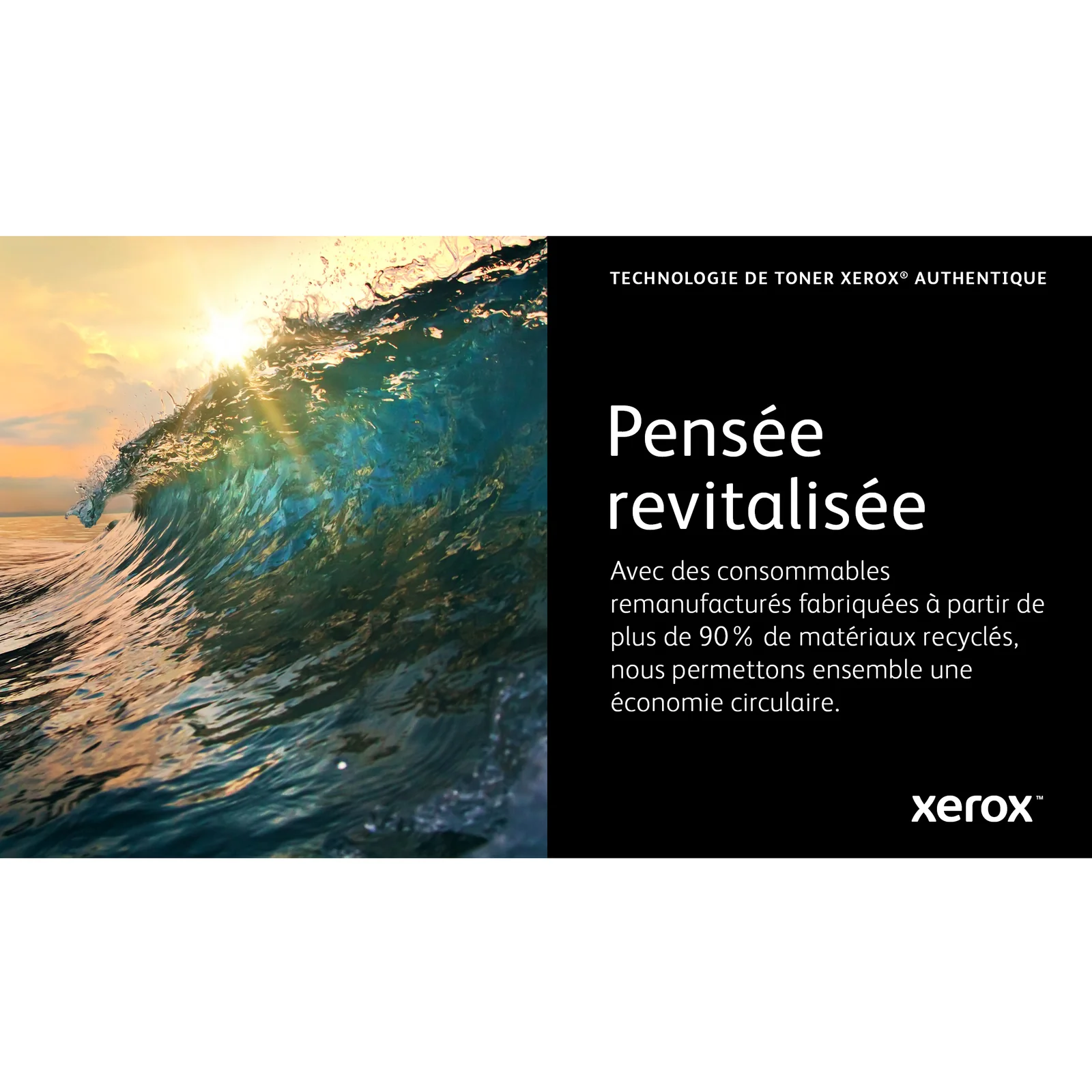 Xerox Cartouche de toner Magenta de Capacité standard Phaser® 6510, WorkCentre® 6515 (1000 pages) - 106R03474