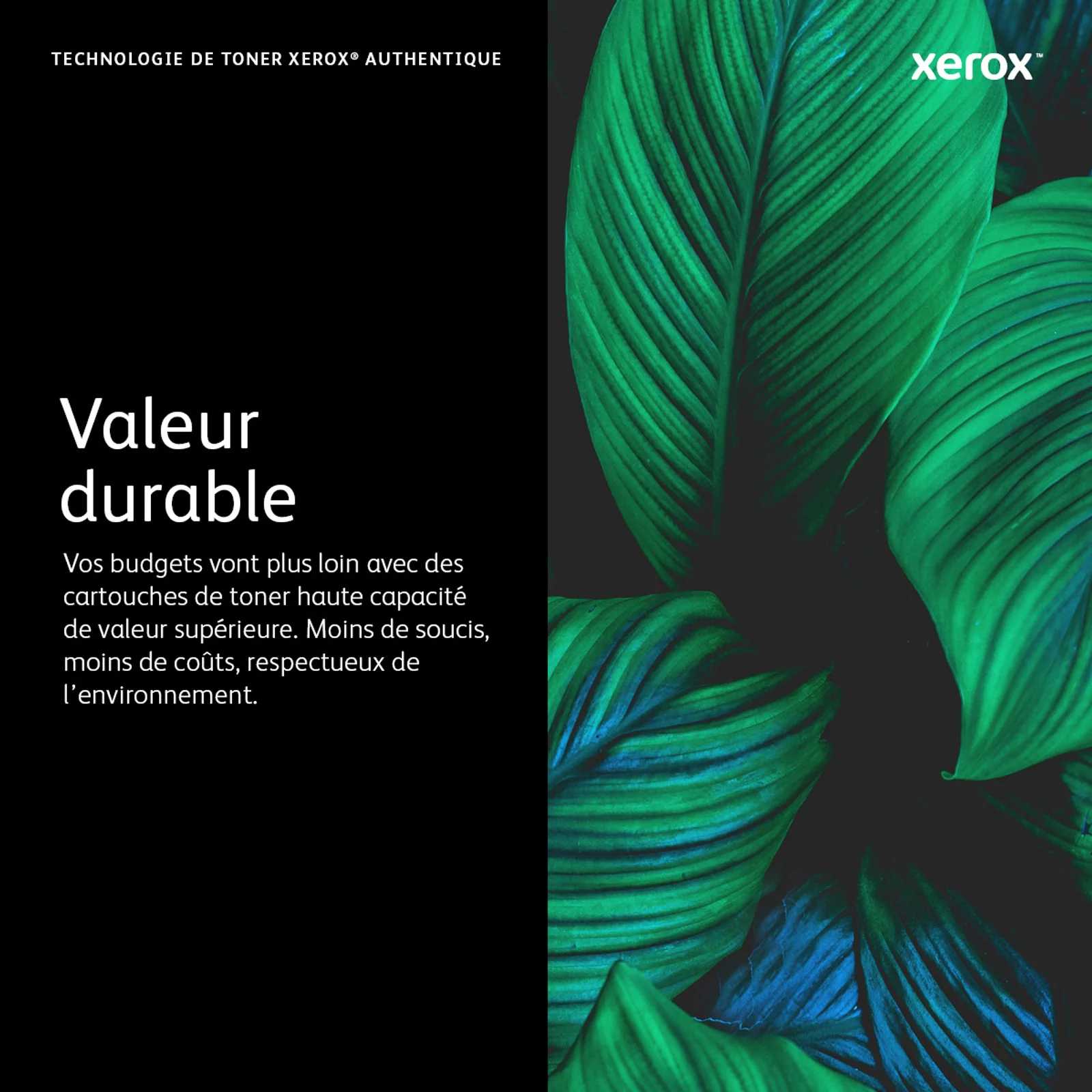 Xerox Cartouche de toner Magenta de Grande capacité Imprimante couleur ® VersaLink® C400/multifonctions ® VersaLink® C405 (4800 pages) - 106R03519