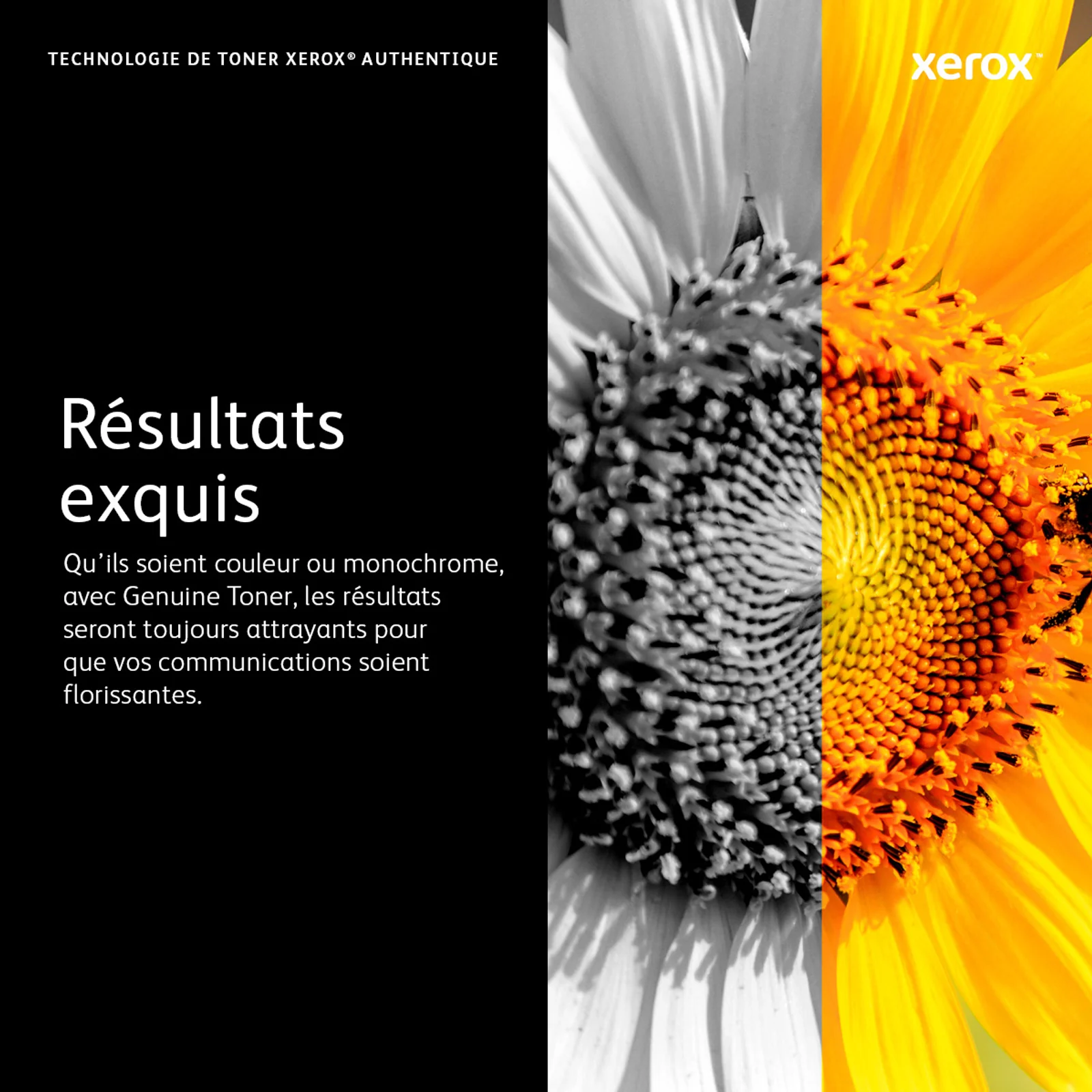 Xerox Cartouche de toner Magenta de Grande capacité Imprimante couleur ® VersaLink® C400/multifonctions ® VersaLink® C405 (4800 pages) - 106R03519