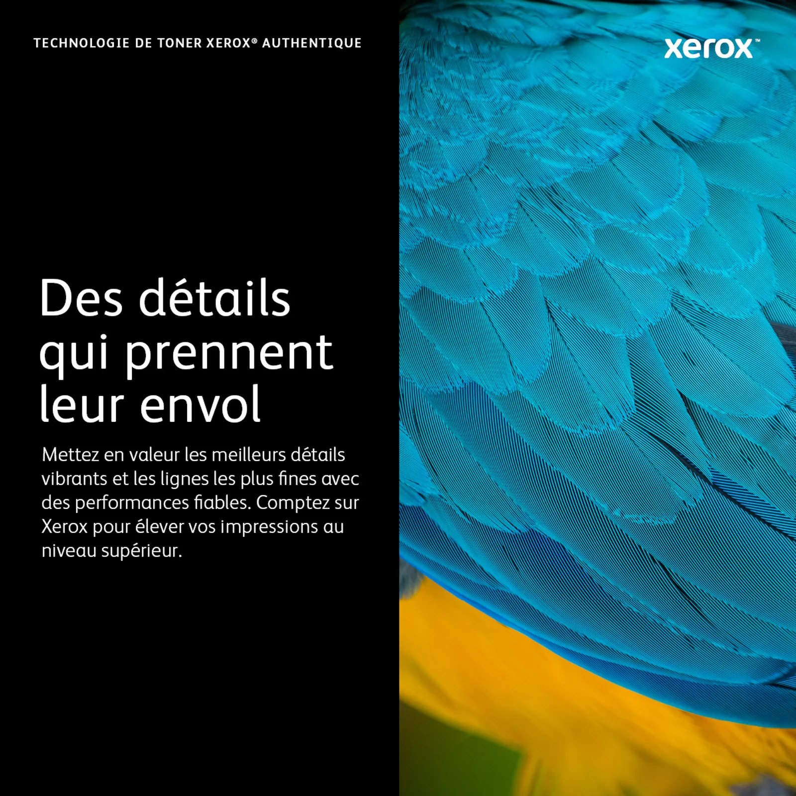 Xerox Cartouche de toner Magenta de Grande capacité Imprimante couleur ® VersaLink® C400/multifonctions ® VersaLink® C405 (4800 pages) - 106R03519